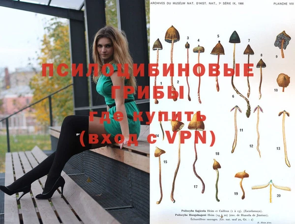 тгк Баксан