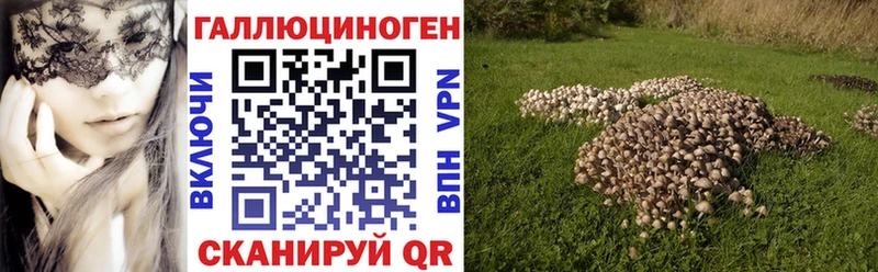Купить закладки Далматово Псилоцибиновые грибы GOLDEN TEACHER