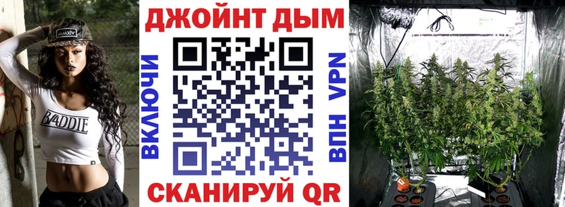 Купить закладки Далматово Каннабис VHQ